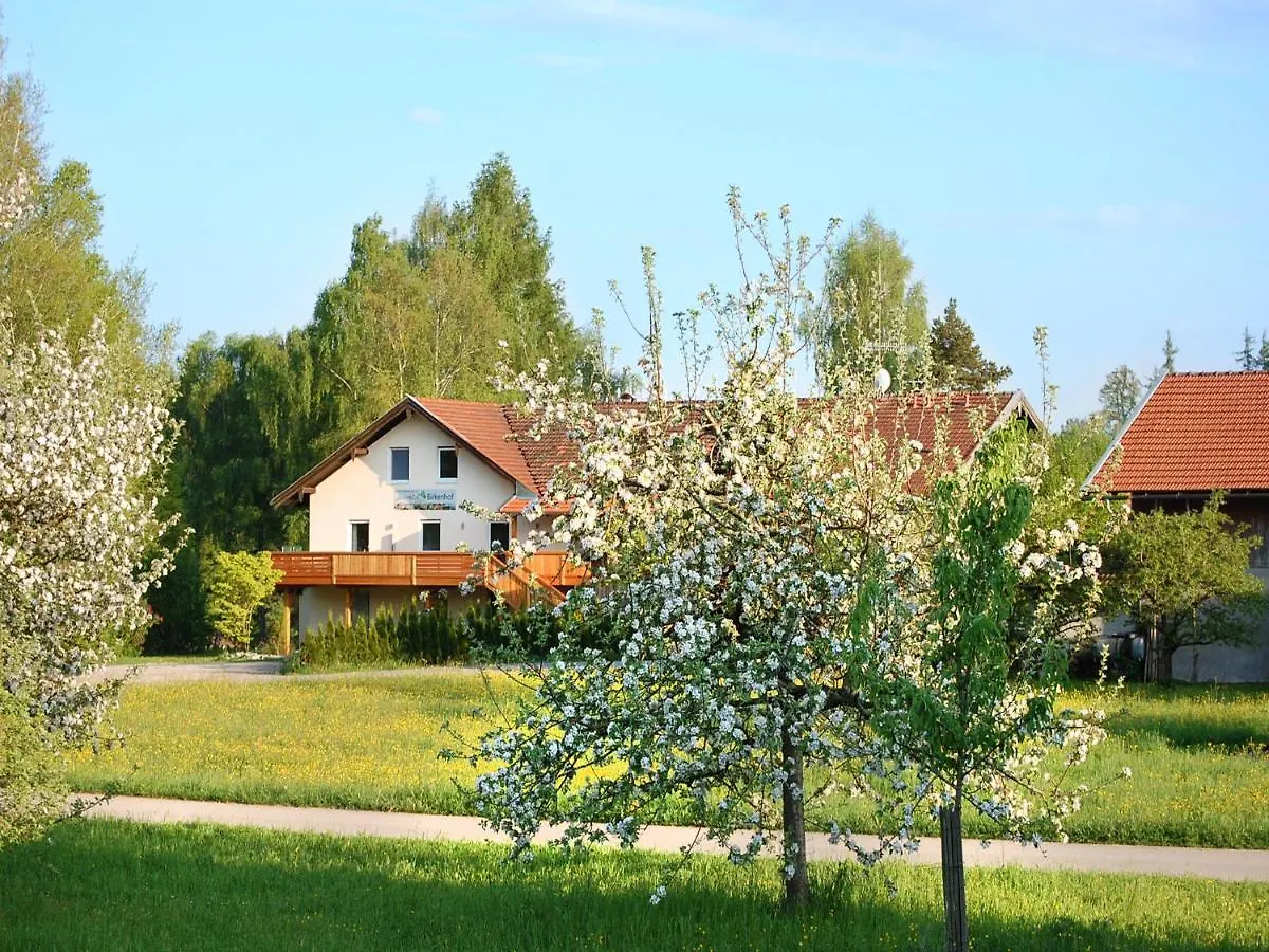Birkenhof contacts